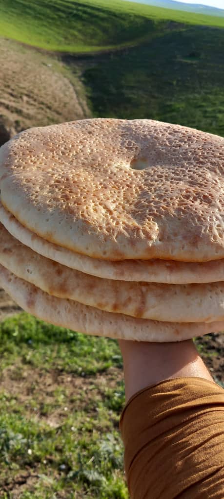 گالری تصاویر